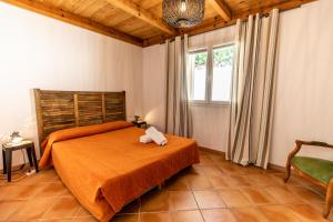 Appart'hotels Bungalows Filippi : photos des chambres