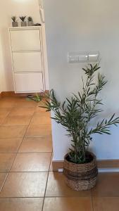 Schöne Unterkunft mit Pool und Terrasse.