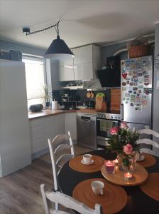 Atrakcyjny apartament z dużym ogrodem