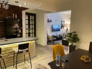 Modern luxury apartment