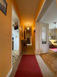 Appartements Les Marmottes : photos des chambres