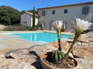 Maisons de vacances L’oliveraie : photos des chambres