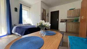 Przystań Białogóra