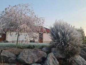 Maisons de vacances Gite Epis du Moulin : photos des chambres