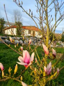 Gîte Epis du Moulin