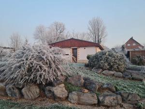 Maisons de vacances Gite Epis du Moulin : photos des chambres