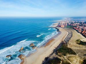 Modern Beach Villa 150m from the Atlantic surf