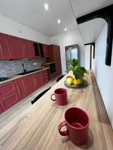 Renovated Loft with Vesuvio view terrace - Scafati