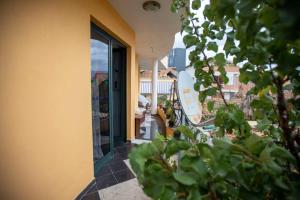 Cosy Appartement in Tirana