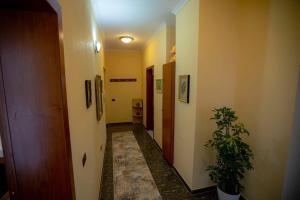 Cosy Appartement in Tirana