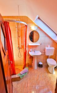 Pensiunea Janosi - Janosi Panzio