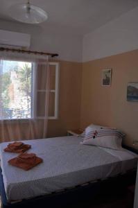 Evdilos apartments with a view