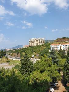 Blue Sky Apartment Becici