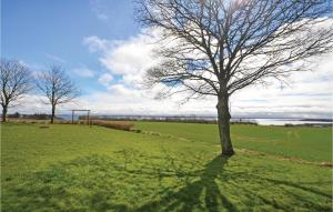 5 Bedroom Stunning Home In Øster Assels