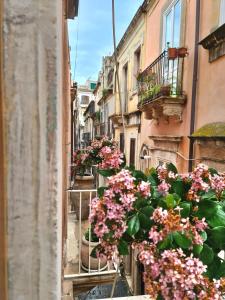 il Pavone di Ortigia nuova struttura