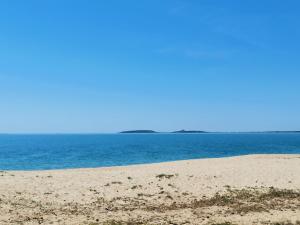 Pachisa sul mare img15