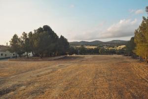 CASAS RURALES LA LAGUNA, ALPERA