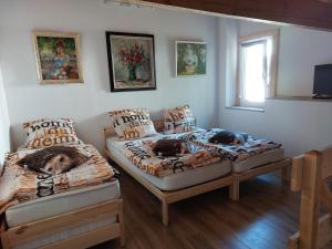 Appartements Gite de Moulin Maurt 1 : photos des chambres