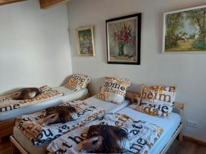 Appartements Gite de Moulin Maurt 1 : photos des chambres