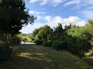 Il Giardino di Elettra img26