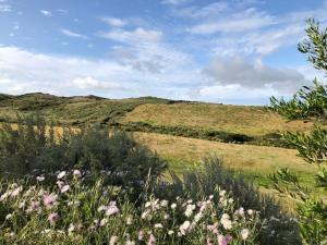 Il Giardino di Elettra img31