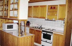 Gorgeous Home In Särna With Kitchen