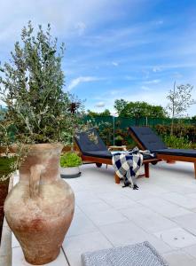 Boutique house Istria with pool and fireplace
