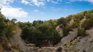 Apartments in a quiet neighborhood