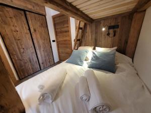 Appartement de charme 4 pers, cœur de village, proche pistes - FR-1-598-142
