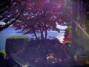 Appartamento vista Lago, giardino spiaggia a Stresa vista Isole Borromee e Golfo Borromeo - STRESAFLAT