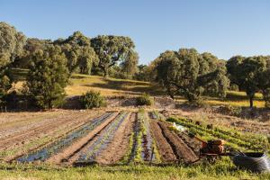 Quinta de Montemuro, 7000-223 Évora, PT.