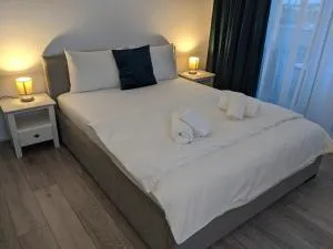 Alina's Deluxe Apartment and free private parking - Biled