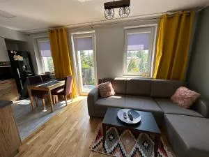 Apartament z Widokiem 2 - Henrysin