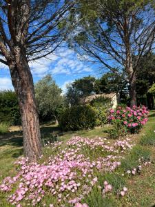 Sejours chez l'habitant Mas de l'Estiou : photos des chambres