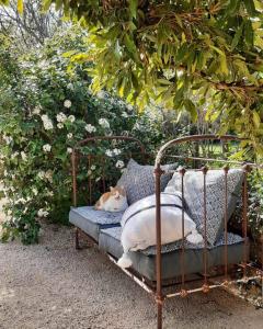 Maisons d'hotes Mas Notre-Dame, Jardin petit paradis, literie haut de gamme : photos des chambres