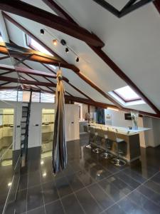 PENTHOUSE RIJEKA CENTAR 