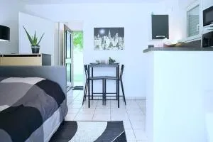 Studio fonctionnel à proximité de Toulouse - 利勒茹尔丹