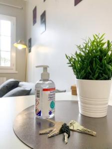 Charmant studio cosy climatisé et parking securisé à proximité du centre ville de lyon