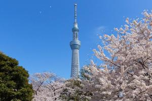 5mins from JR Kinshicho! Near Asakusa&Skytree!