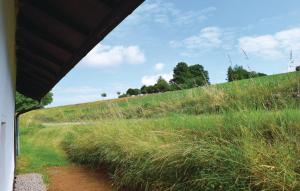 Holiday Home Wiesenfelden - 08