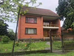 Дом под ключ Багмаран - Tqvarchʼeli