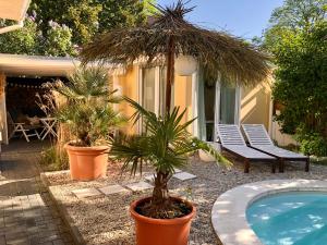 Apartment TinyHouse mit Pool, Outdoor Whirlpool und Garten