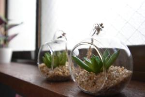 アンドステイ中野5丁目203