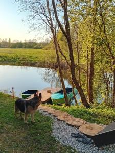 OÜ Jöeääre majutus.