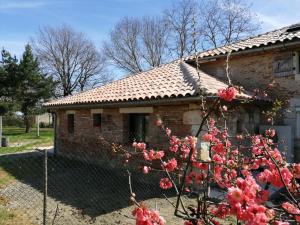 Maisons de vacances L' Amandier : photos des chambres