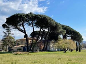 Maisons d'hotes La Pavoyere : photos des chambres