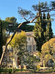 Maisons d'hotes La Pavoyere : photos des chambres