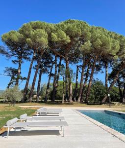 Maisons d'hotes La Pavoyere : photos des chambres