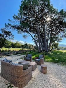 Maisons d'hotes La Pavoyere : photos des chambres