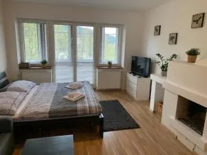 Apartments Monika - 霍尔尼米瑟克基